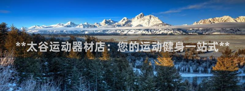 意昂体育3：**太谷运动器材店：您的运动健身一站式*