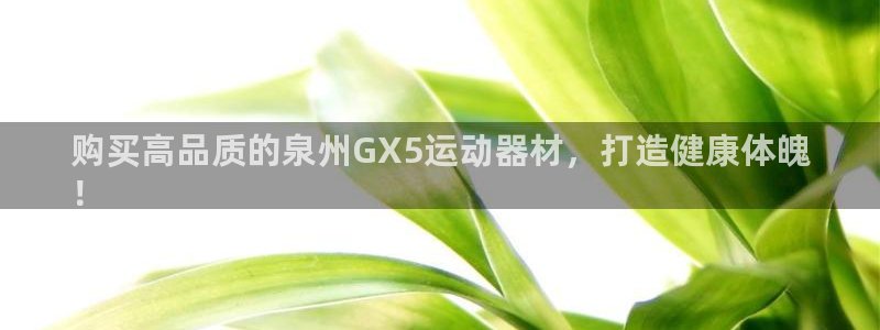 意昂体育3招商电话号码是多少：购买高品质的泉州GX5