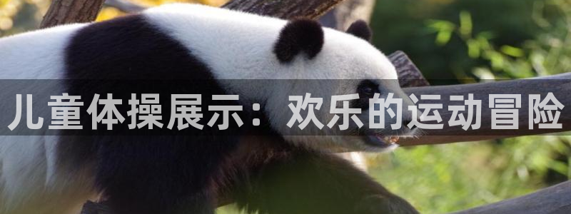 意昂体育3招商电话是多少：儿童体操展示：欢乐的运动冒
