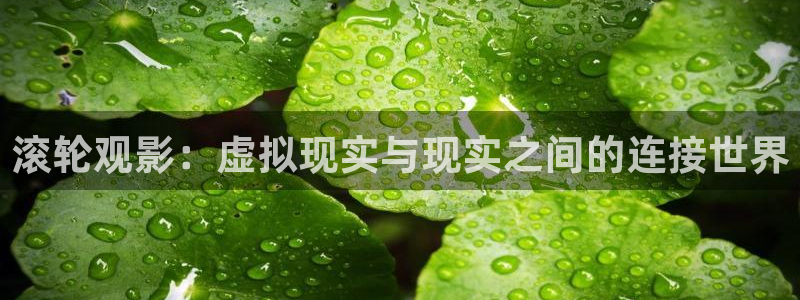 殇情影院青苹果影院：滚轮观影：虚拟现实与现实之间的连接世界