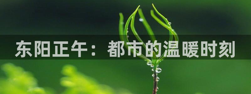 yy4480殇情影院