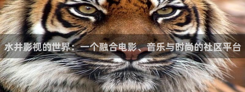 殇情影院青苹果影院：水井影视的世界：一个融合电影、音乐与时尚的社区平台