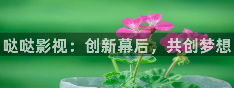 殇情青苹果影院：哒哒影视：创新幕后，共创梦想